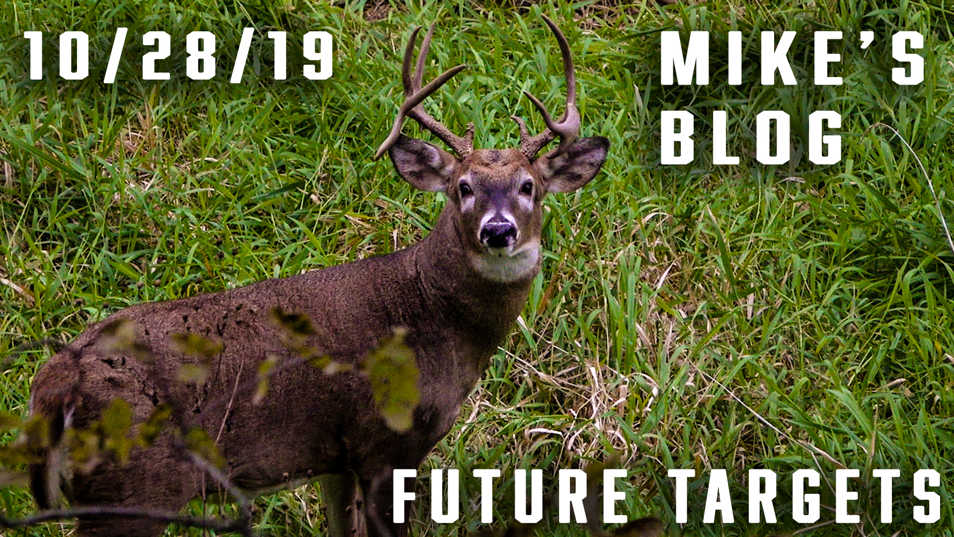 Mike's Blog: Future Targets, After Sherman