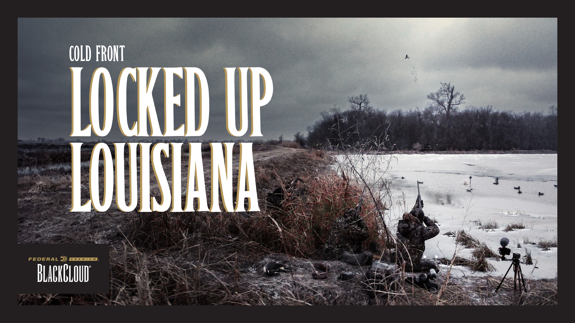 Snow, Ice, and a Lot of Ducks Reach the South | Record Low Temps | Black Cloud