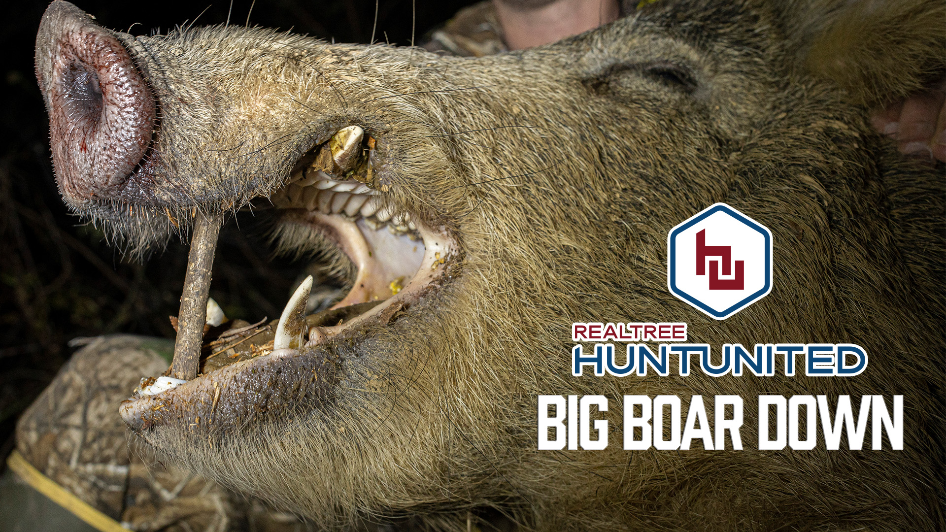 Hogzilla Is Dead | Big Boar Down in the Mississippi Backwoods | Hunt United