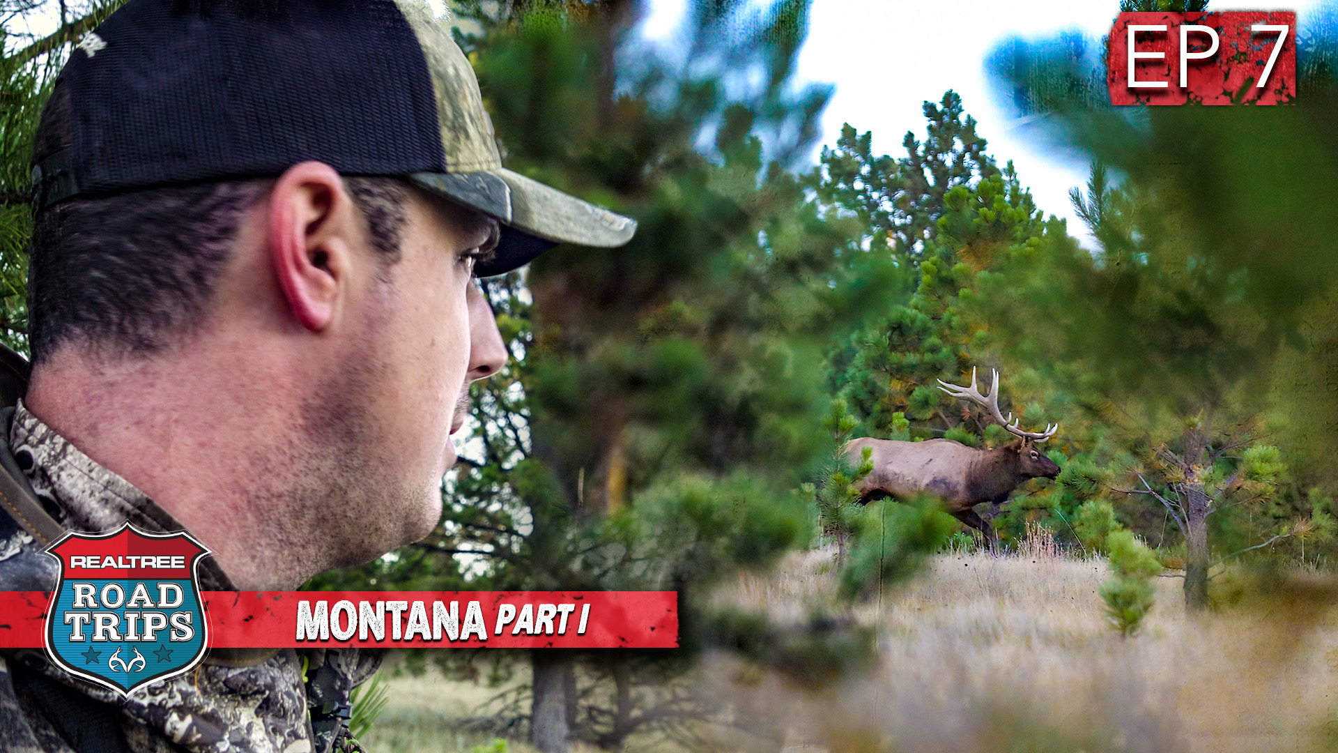 Monster Bull Bugling Madness | Montana Elk Hunting | Realtree Road Trips