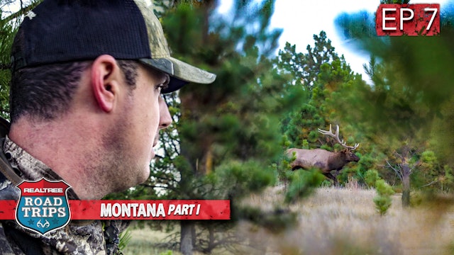 Monster Bull Bugling Madness | Montana Elk Hunting | Realtree Road Trips