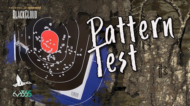 Patterning Waterfowl Shotguns for Duc...