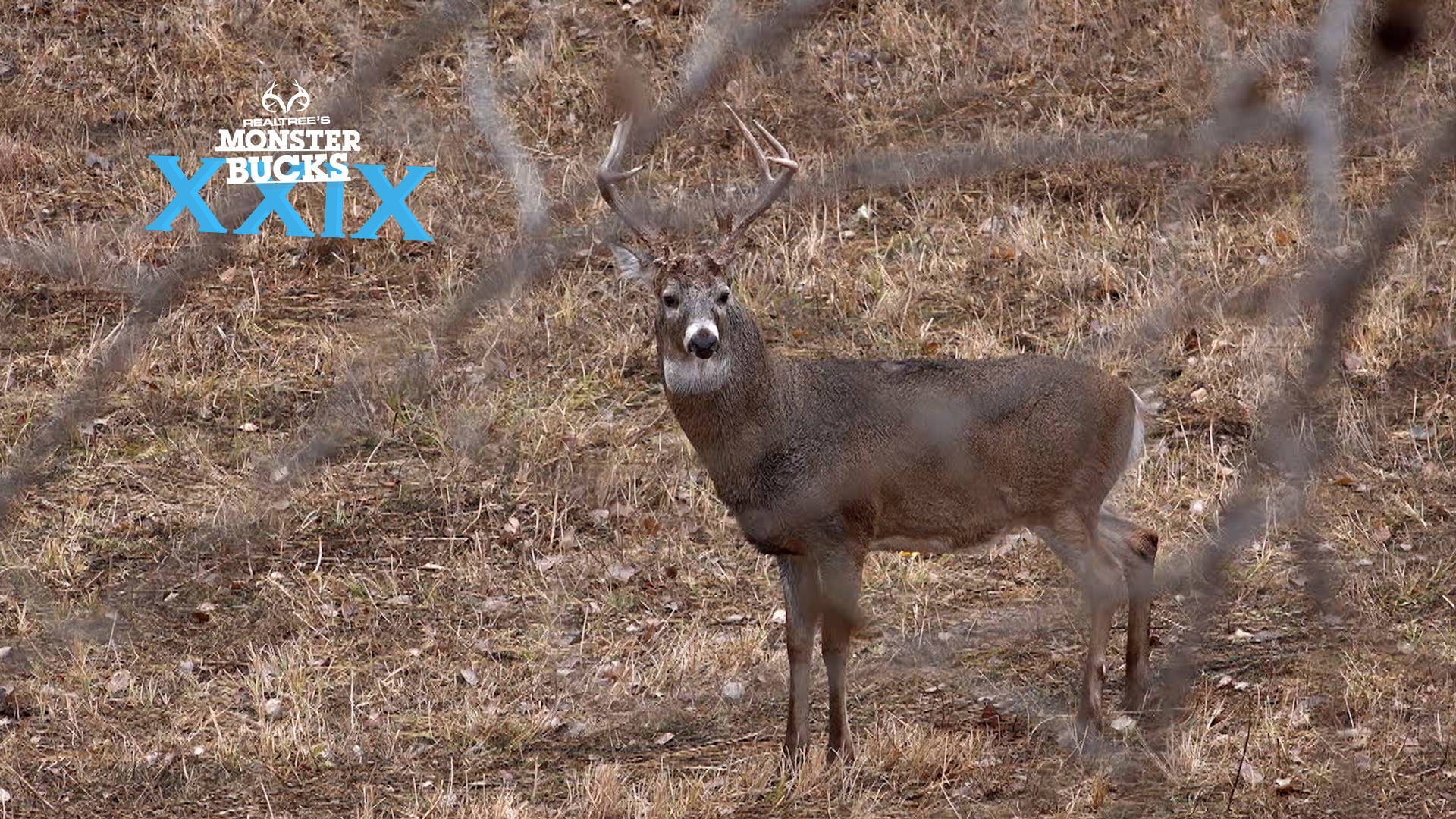Jackson Bishop's Big Ol' Kansas Bow Buck | Monster Bucks 2021