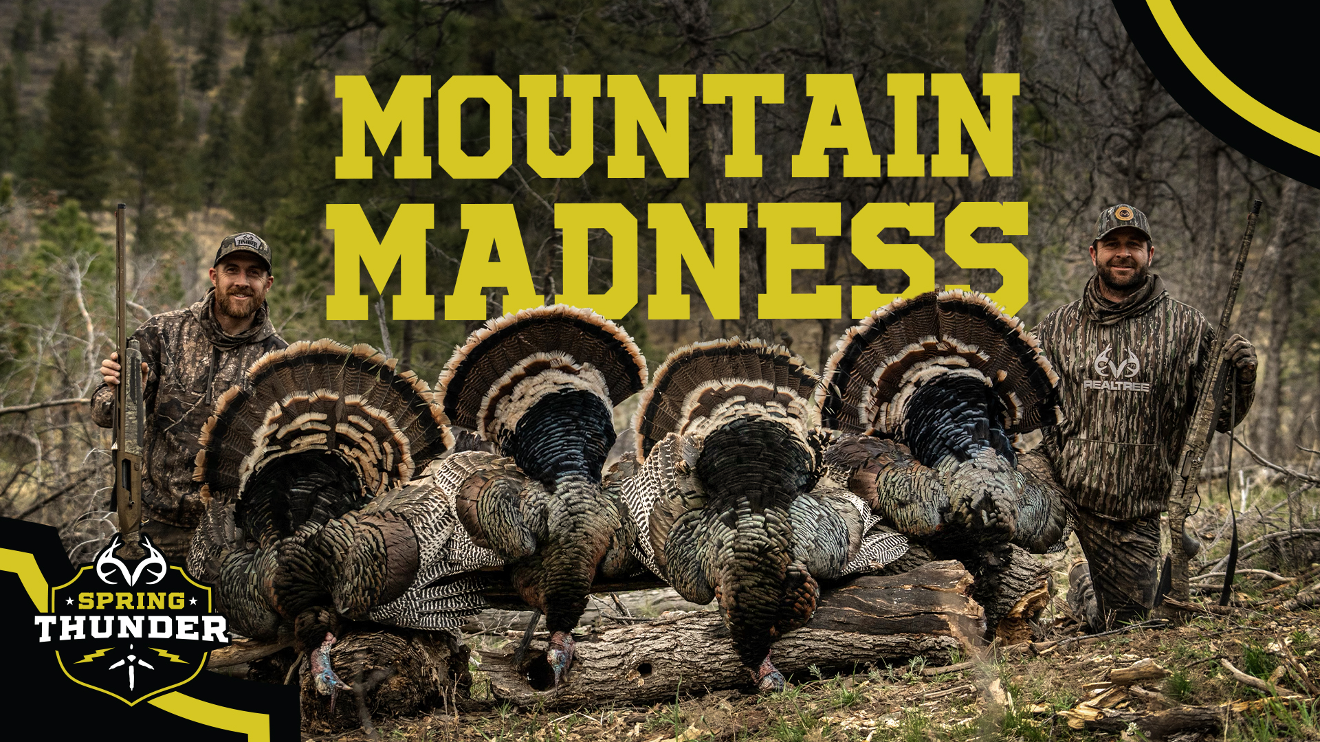 We Had Gobblers Everywhere! | Turkey Hunting the Hills | Spring Thunder