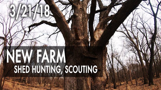 Jared's Blog: New Farm, Scouting