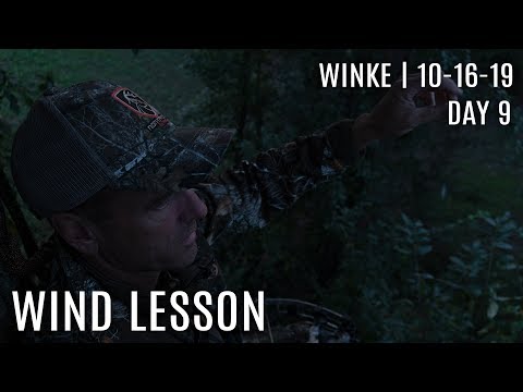 Winke Day 9: Wind Lesson, Stay or Move