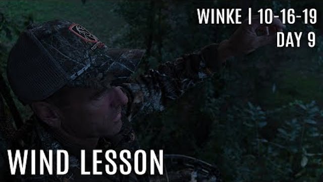 Winke Day 9: Wind Lesson, Stay or Move