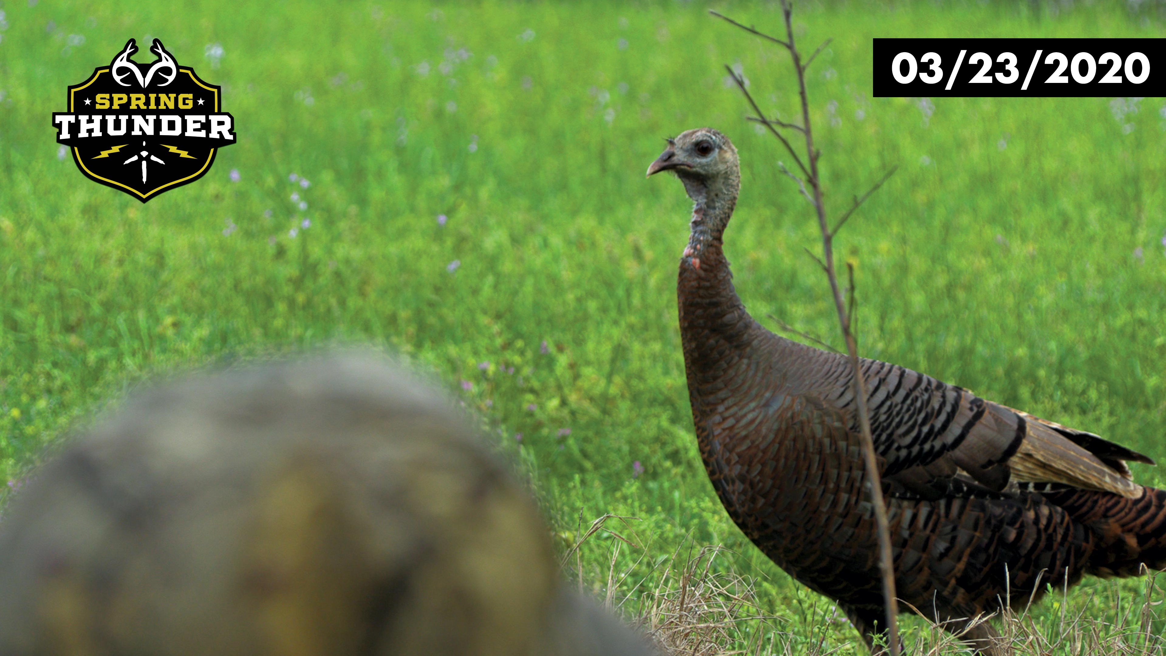 Georgia Turkey Season Opening Day | Big Hen At 7 Yards | Realtree Spring Thunder