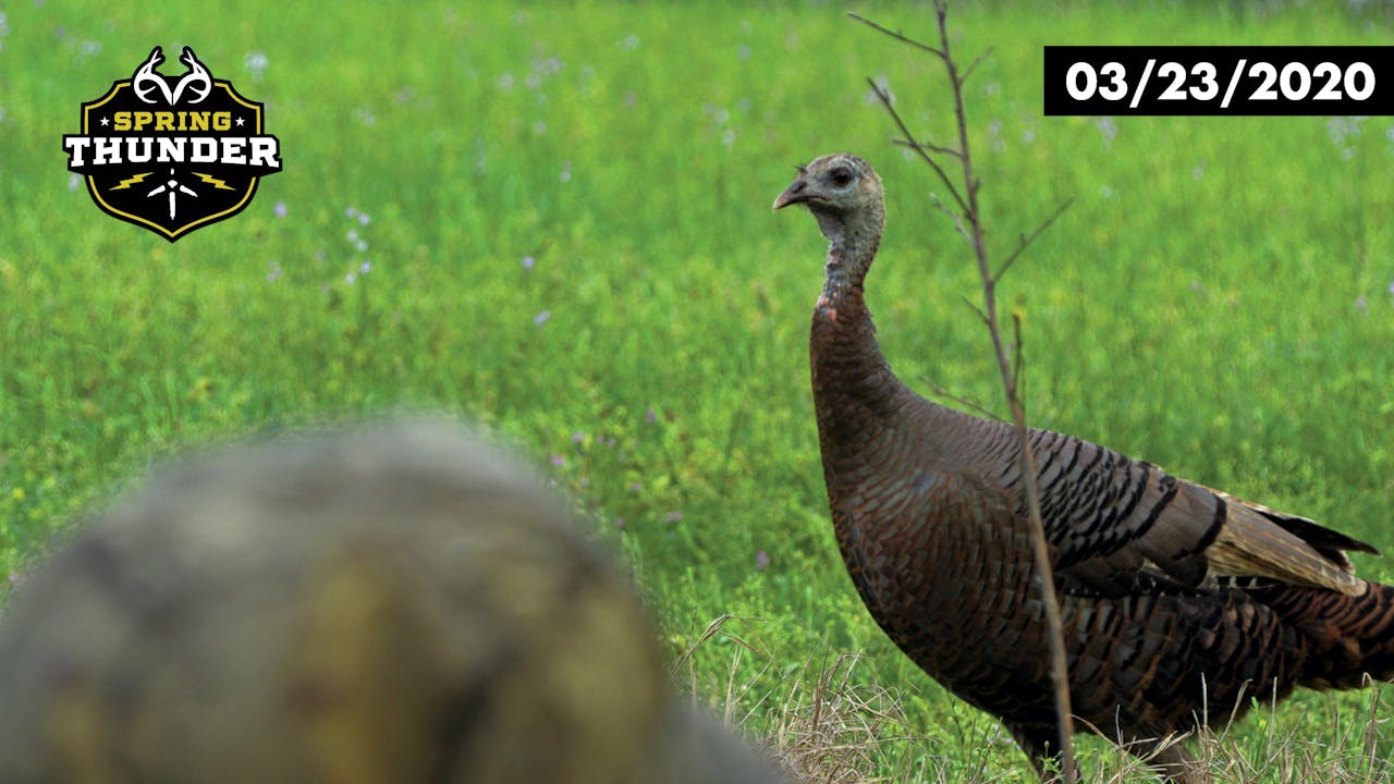 Turkey Season Opening Day Big Hen At 7 Yards Realtree