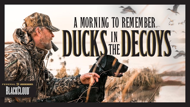 Jim Ronquest Puts Ducks in the Decoys | Louisiana Limits | Black Cloud