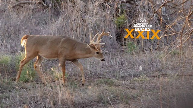 Slade Priest's Giant Southwestern Kan...