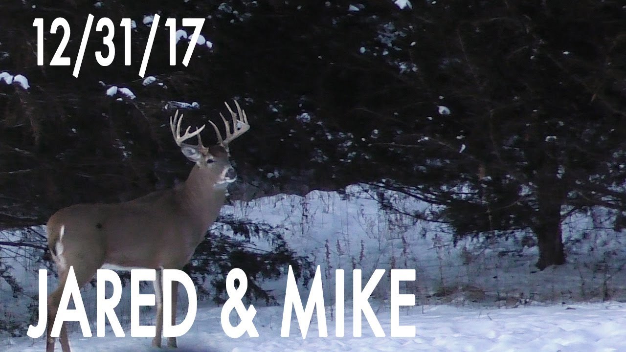 Jared's Blog: 66 in Bow Range