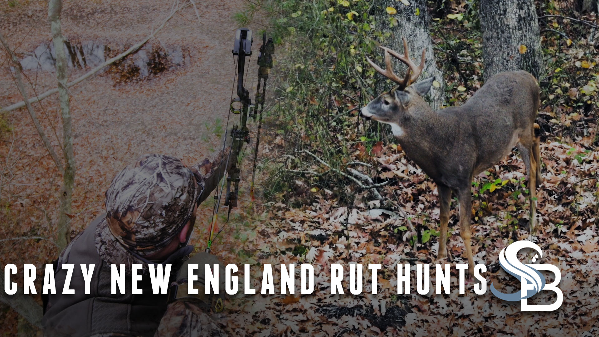 The Whitetail Rut Is Heating Up | Classic Northeastern Deer Hunting | Sea Bucks