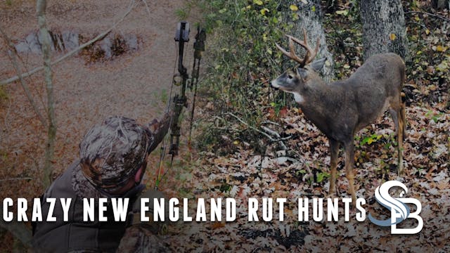 The Whitetail Rut Is Heating Up | Cla...