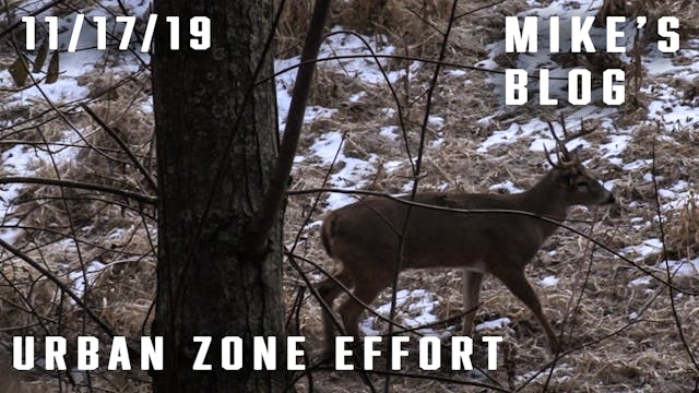 Mike's Blog: Urban Zone Effort