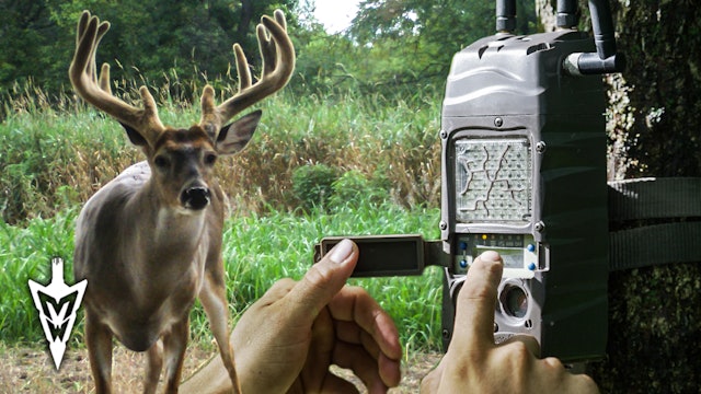 Fall Camera Strategies, Public Land Tactics | Midwest Whitetail