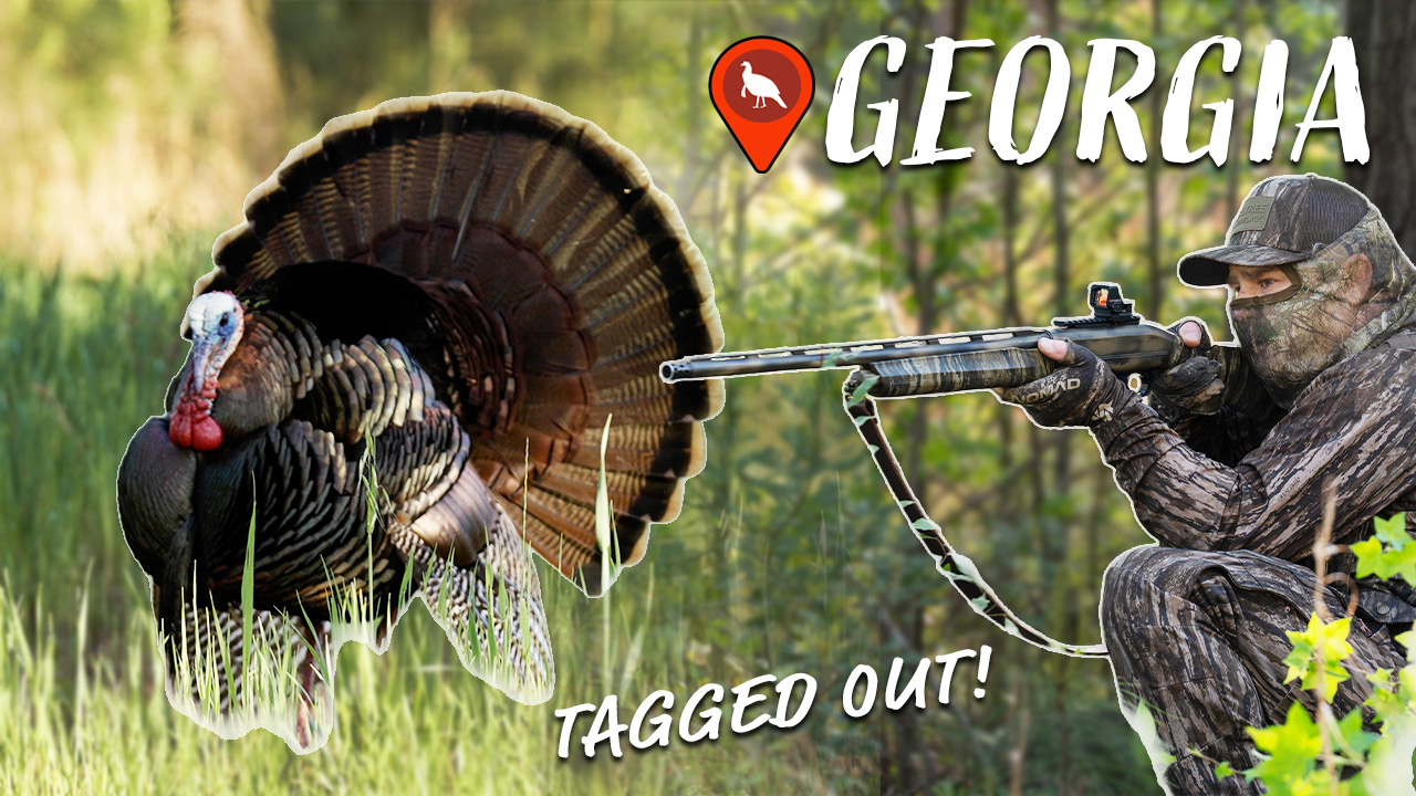 Gobbler Called In CLOSE! | The Best Turkey Hunting We've Had in 2026!!