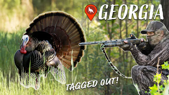 Gobbler Called In CLOSE! | The Best T...