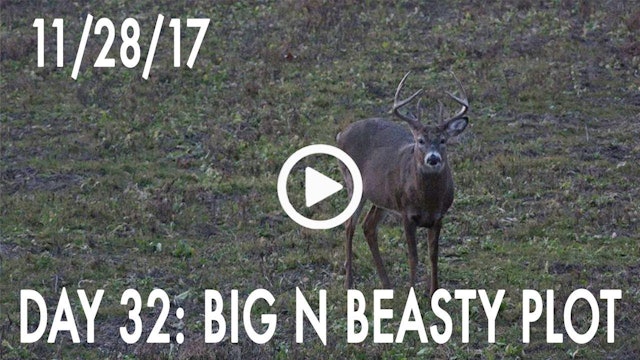 Winke Day 32: Big N Beasty Plot