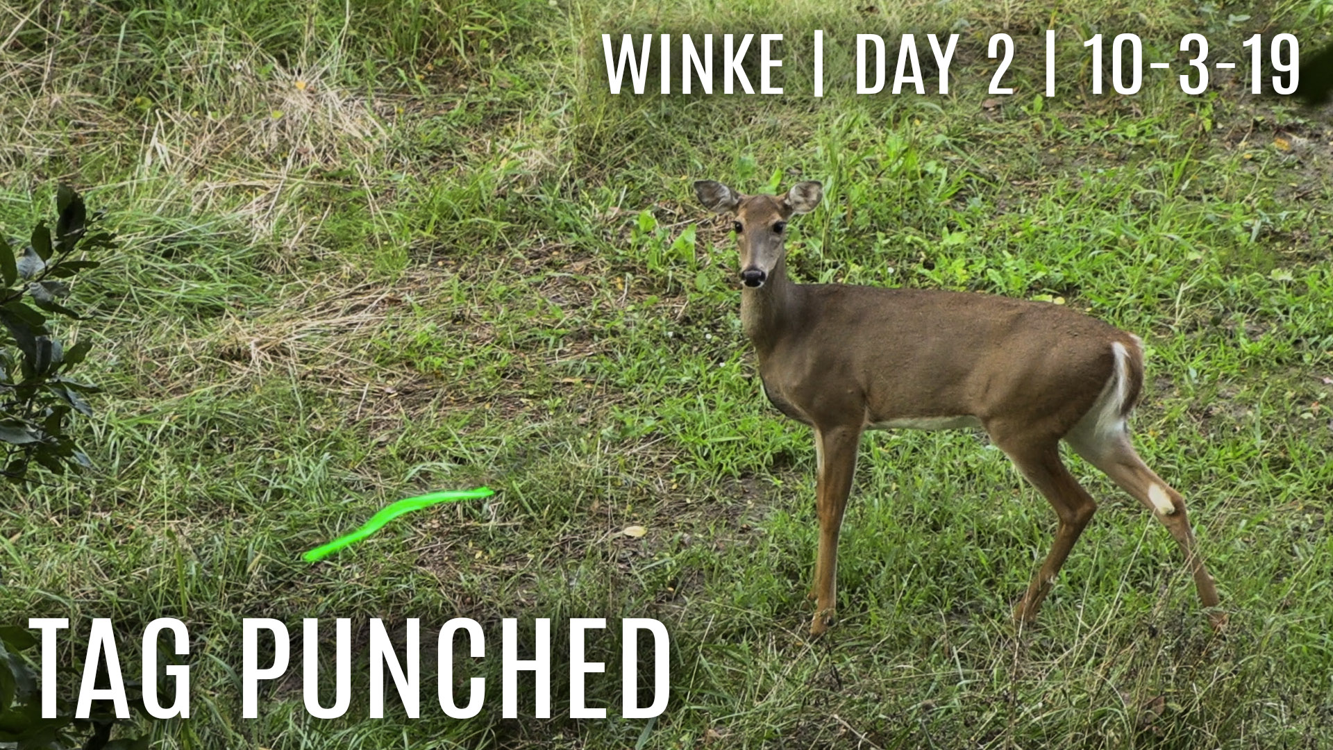 Winke Day 2: First Tag Filled