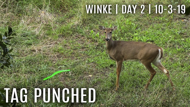 Winke Day 2: First Tag Filled
