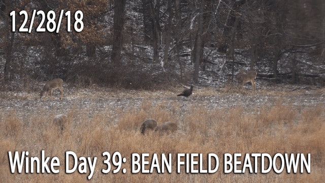 Winke Day 39: Bean Field Beatdown