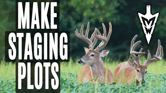 5-6-19: Targeting Bucks With Staging Plots | Midwest Whitetail