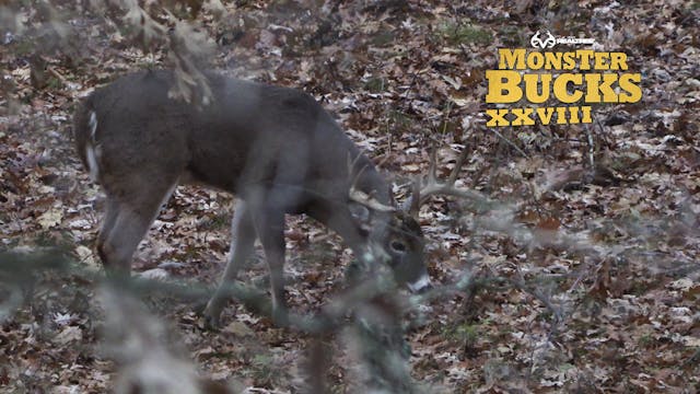 David Blanton's Huge Wisconsin Whitet...