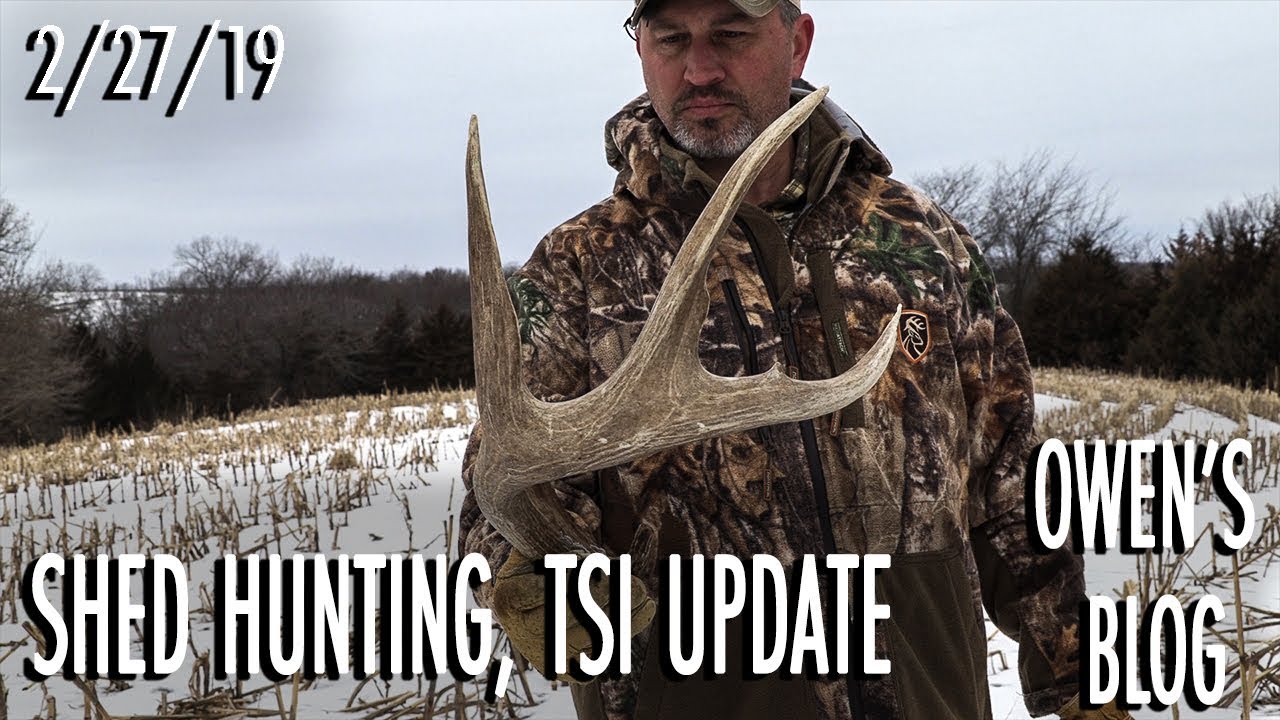 Owen's Blog: Crabs Buck, Broken Tine Repaired