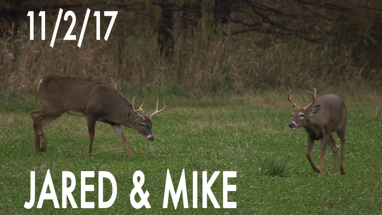 Jared's Blog: November Velvet Buck