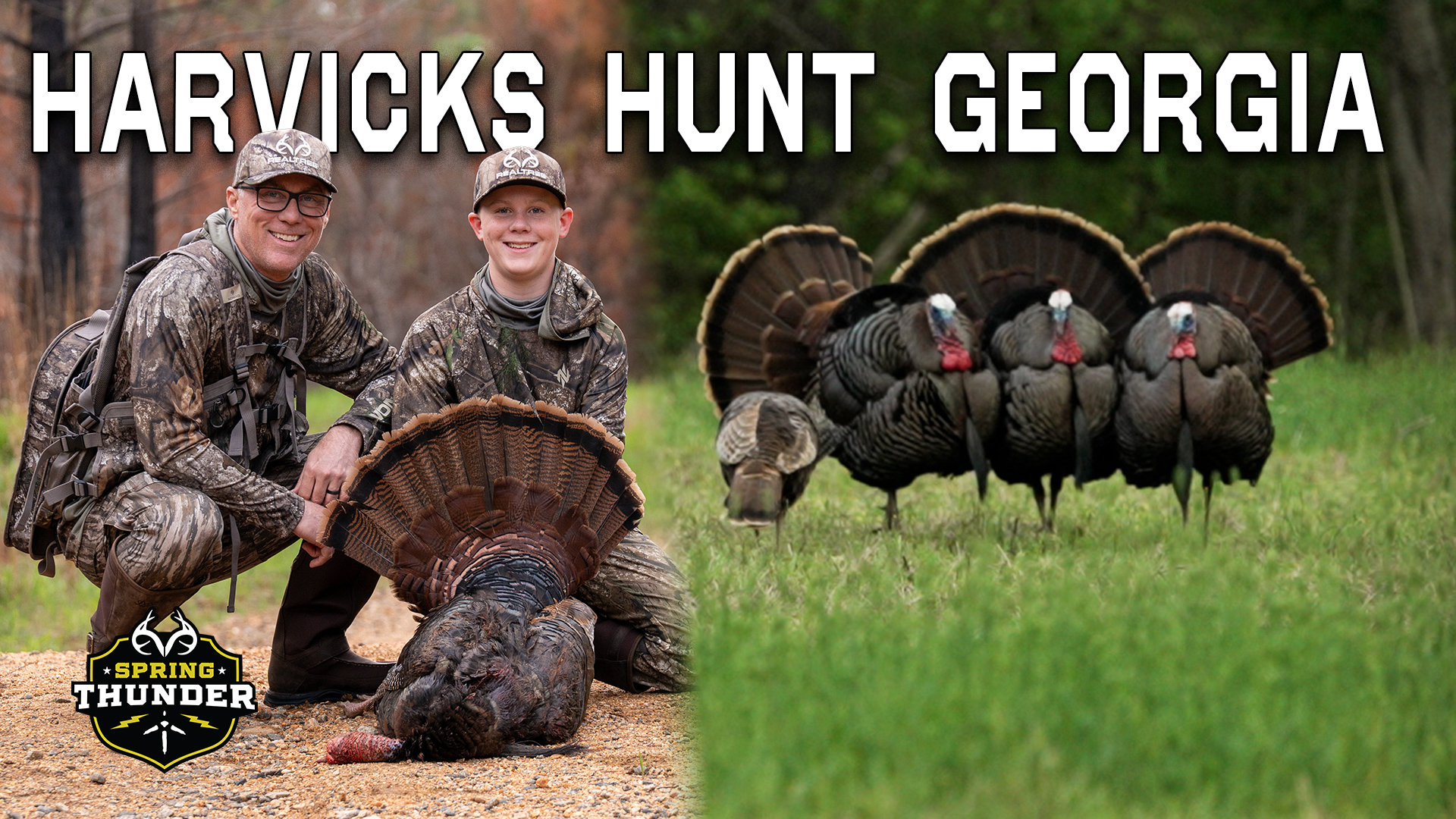 Georgia GOBBLERS with the HARVICKS | Realtree's Spring Thunder