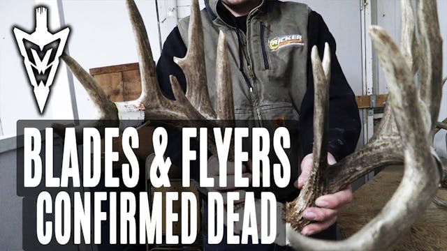 Owen's Blog: Big Bucks Found Dead