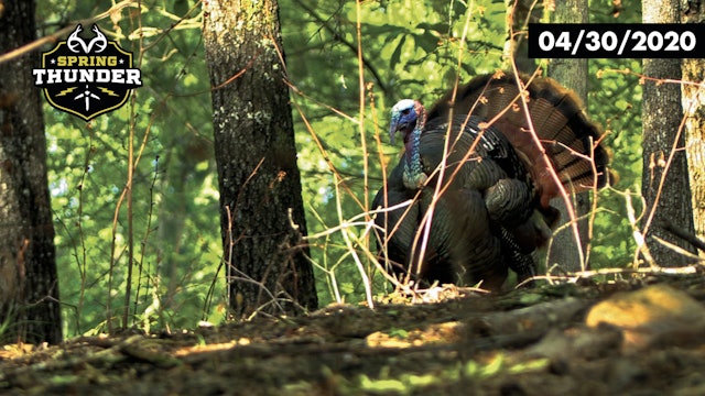 First Youth Hunt Turns into a Classic Big-Timber Turkey Hunt 