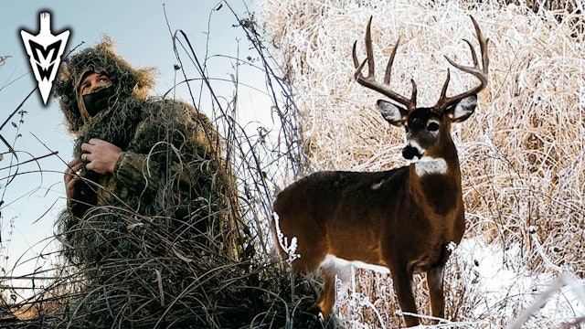 Ground Vs. Stand Hunting, Poor Man's Plot | Midwest Whitetail