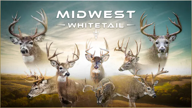 Midwest Whitetail Weekly