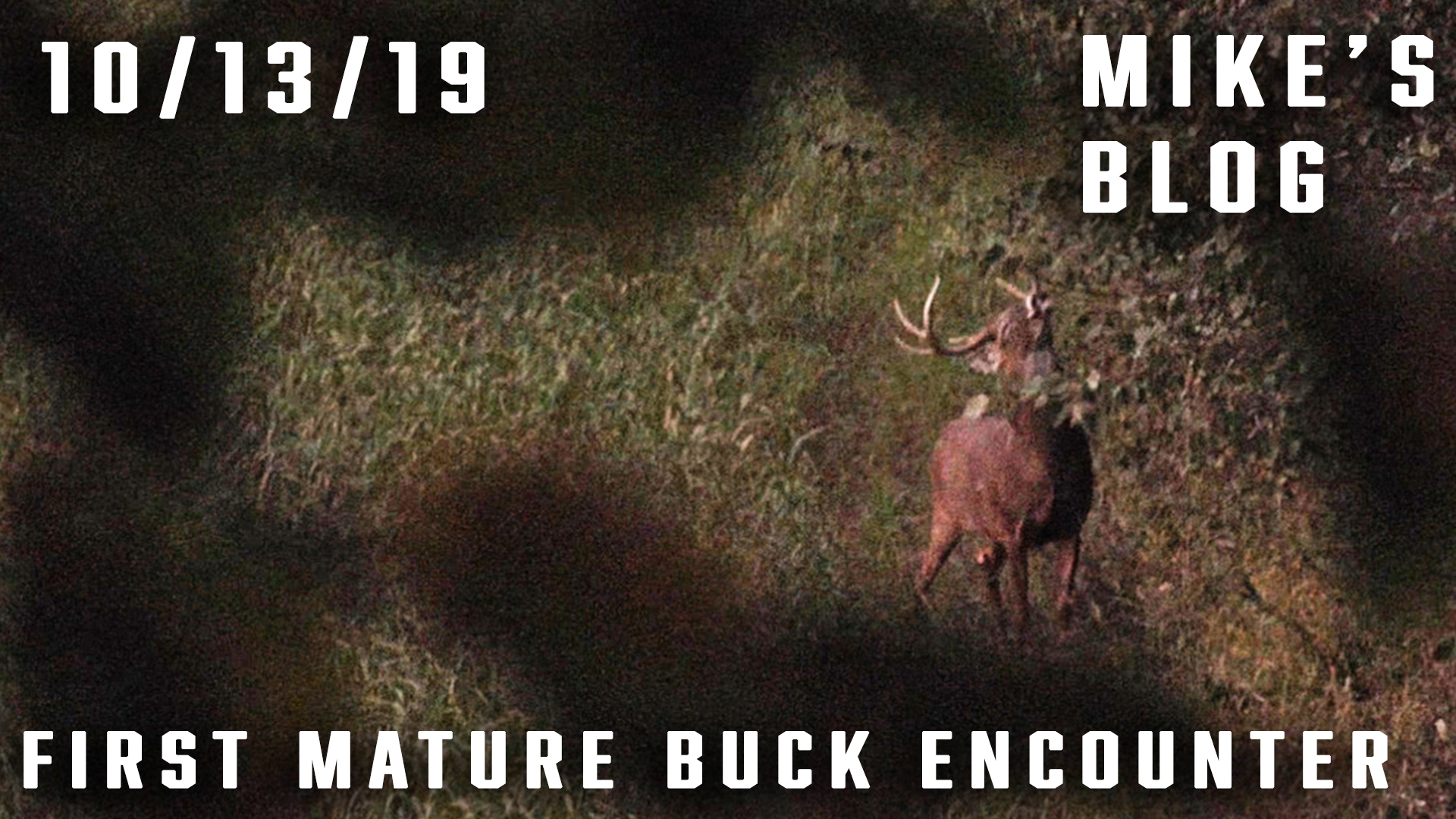 Mike's Blog: First Mature Buck Encounter
