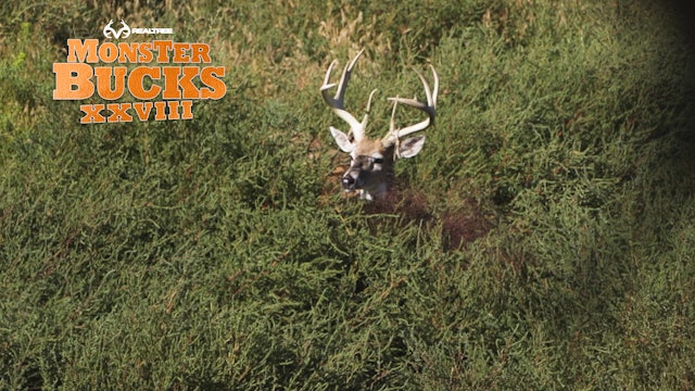 Justin Martin's Huge Wyoming Deer | Realtree's Monster Bucks