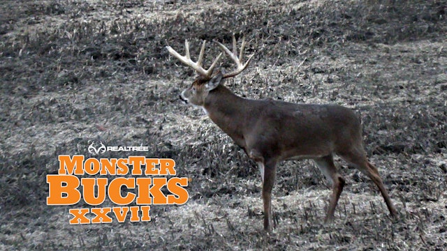 Jared Mills Targets a Bean Field Monster Buck