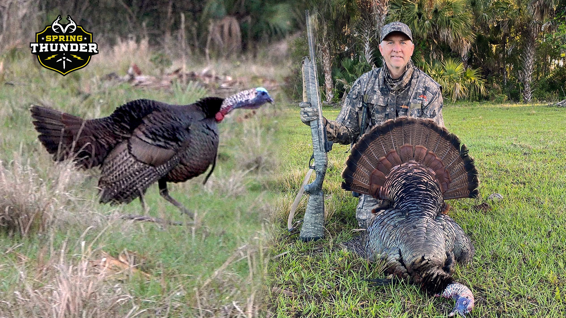 Osceola Wild Turkeys | Opening Weekend in South Florida | Spring Thunder