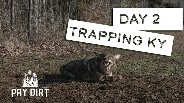 Running Trap Lines in Kentucky | Mad Dog in the Trap | Pay Dirt