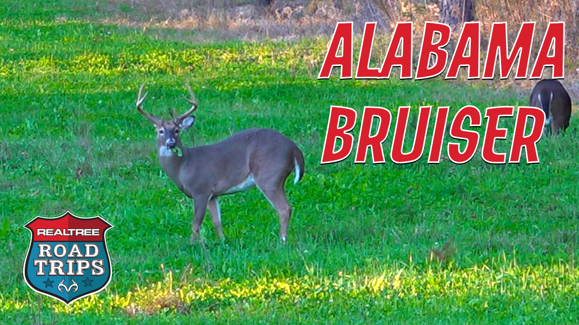 Targeting an Alabama Bruiser | Goins Fills a Deer Tag | Realtree Road Trips