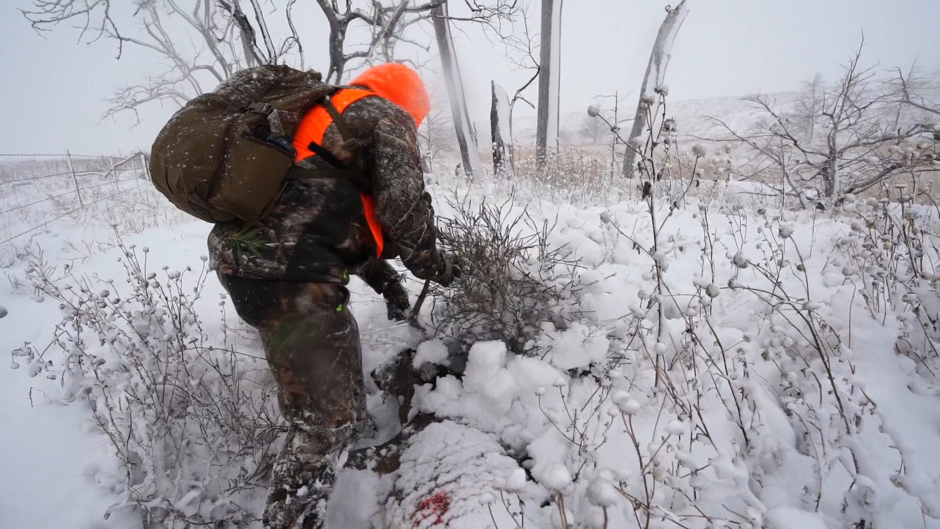 Oklahoma Snow Bucks | Behind the Season (2020) | The Given Right