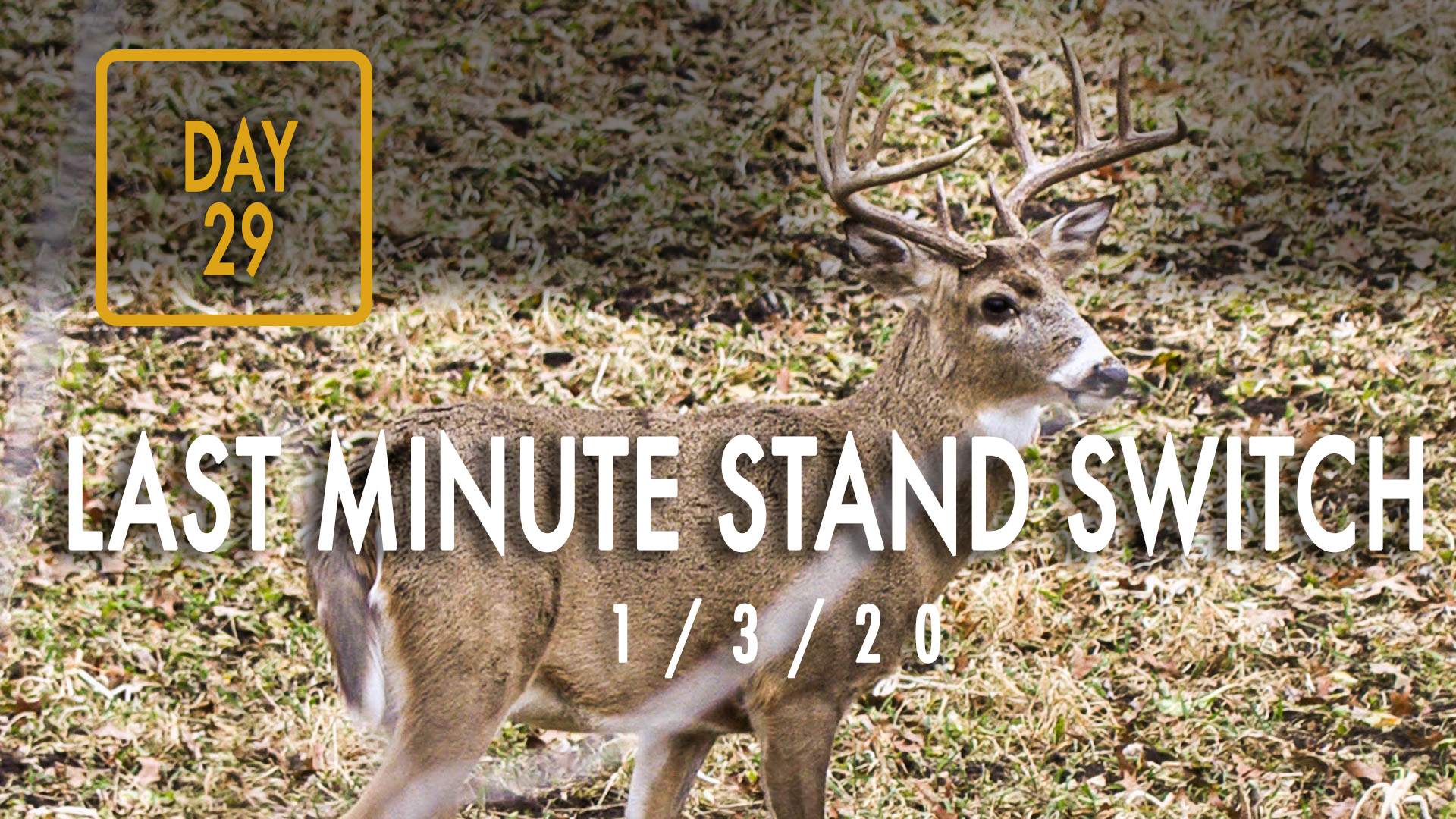 Jared Day 29: Last Minute Stand Switch