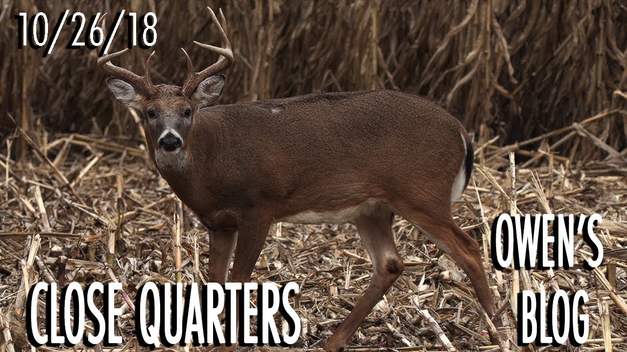 Owen's Blog: Shoot or Pass, October Decision