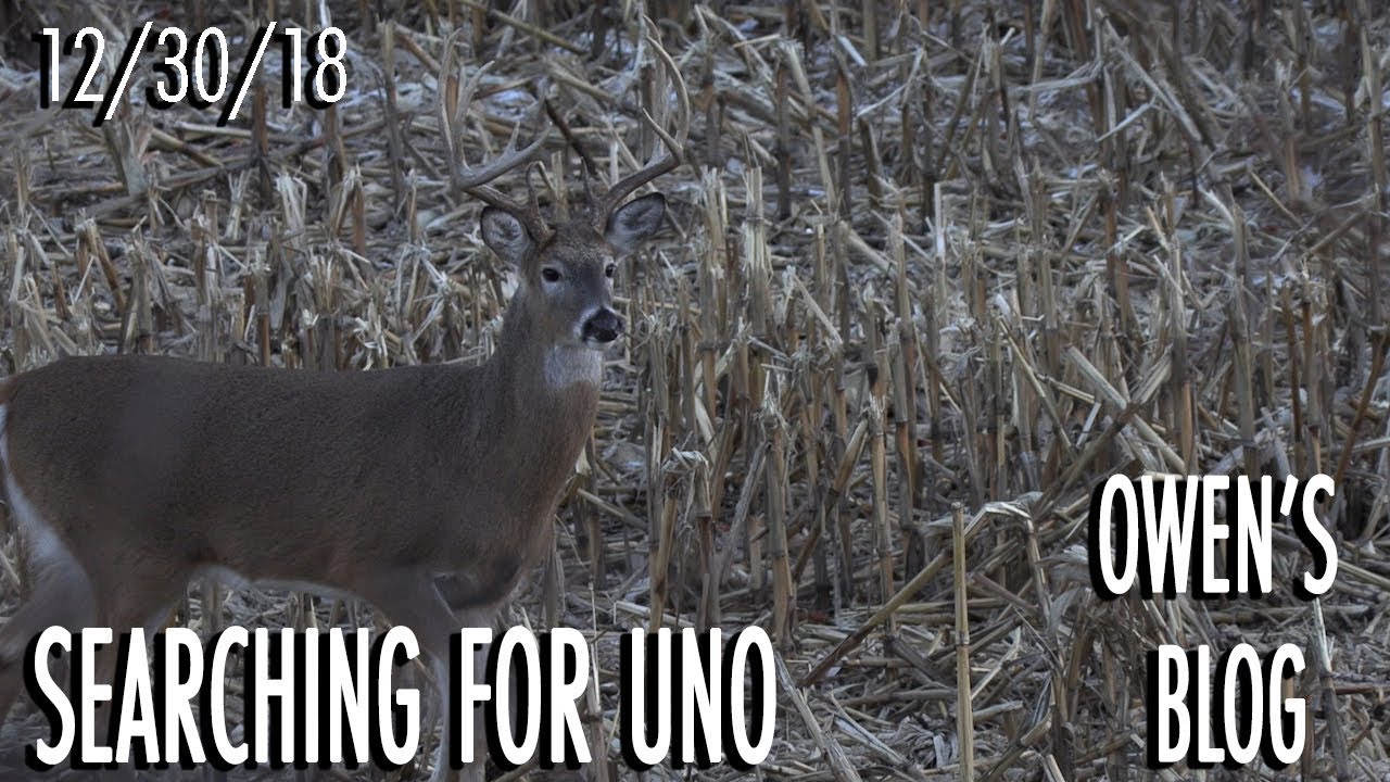 Owen's Blog: Still Hunting Uno