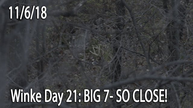 Winke Day 21: Big 7- So Close!