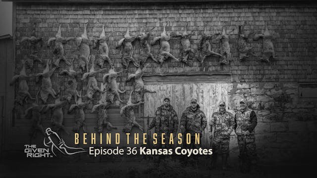 Kansas Coyote Round Up | Behind the S...