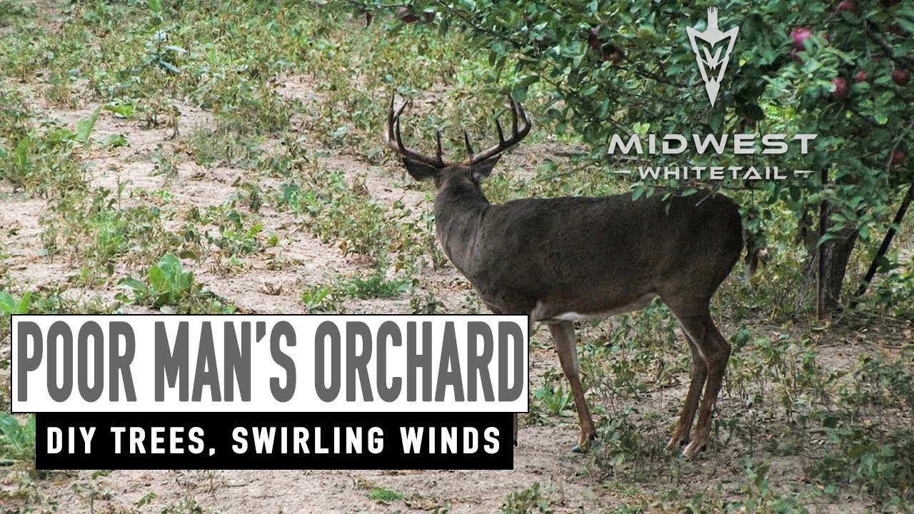 4-9-18: Grafting Apple Trees, Swirling Winds | Midwest Whitetail