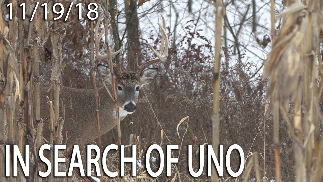 Owen's Blog: In Search of Uno