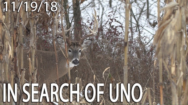 Owen's Blog: In Search of Uno